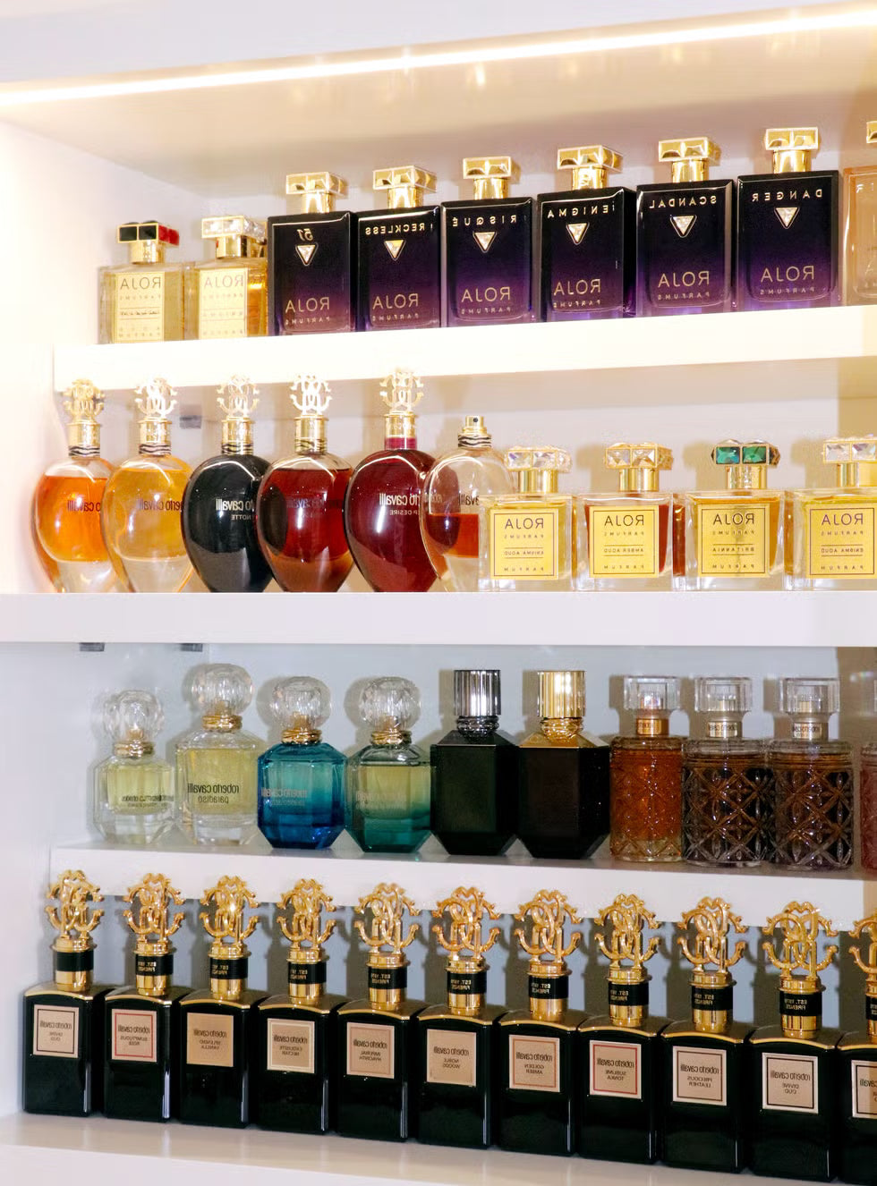 ASMVEO Perfume Collection | Signature Fragrances | Luxury Scents Online